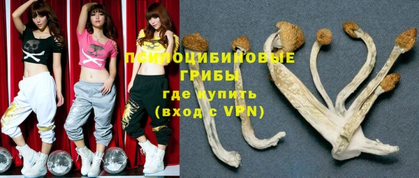 МДМА Бородино